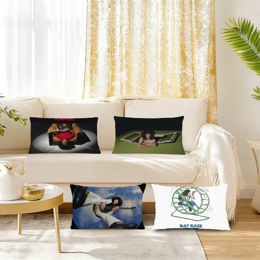 

Чехол для подушки Singer T-Towa B-BirdS, прямоугольная наволочка с принтом, для прикроватной тумбочки, дивана, комнаты, домашнего декора
