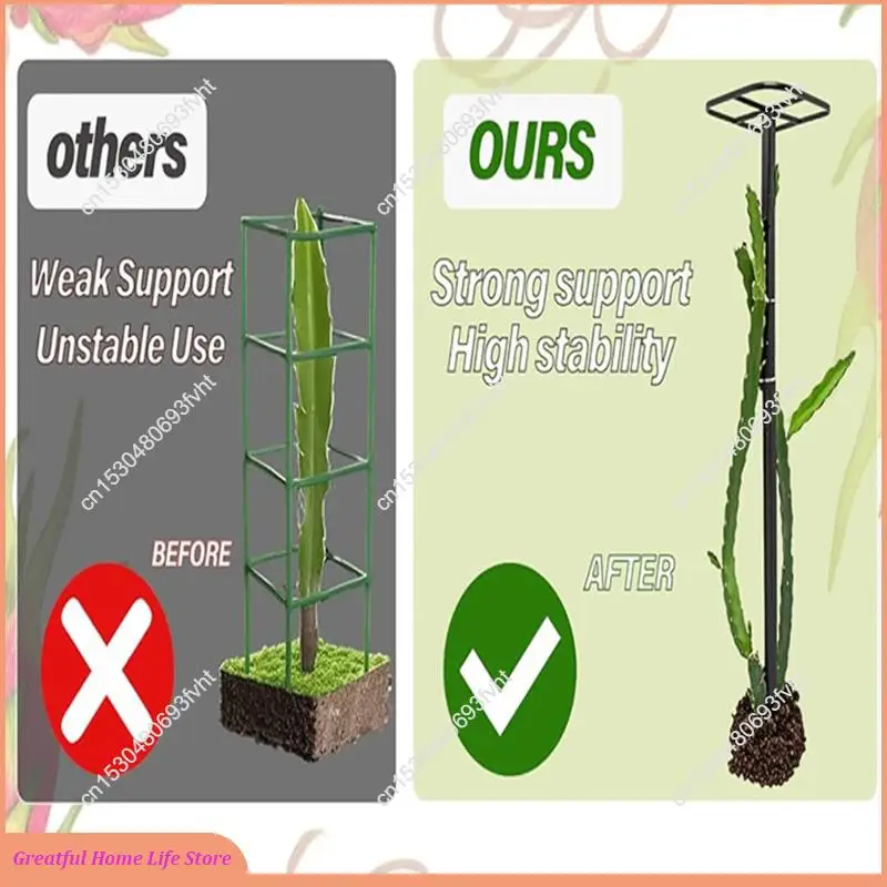 

AT59 Premium Dragon Fruit Trellis Прочная металлическая решетка для вертикальных садовых и вьющихся растений