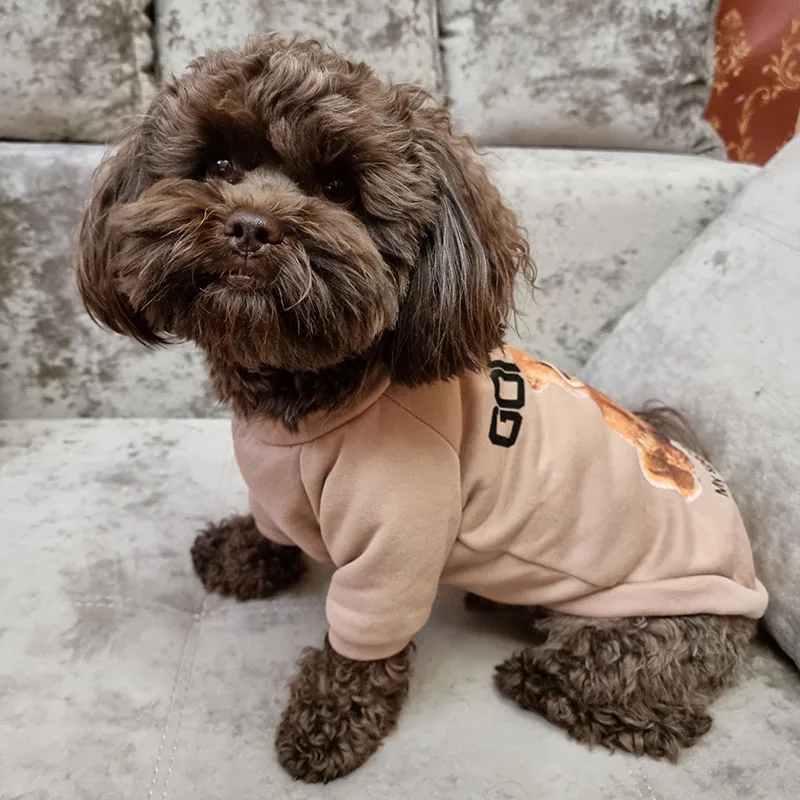 Ropa para perros pequeños y medianos, chaleco con patrón de oso bonito para mascotas, gatos, caniche, Yorkshire, Chihuahua, Schnauzer