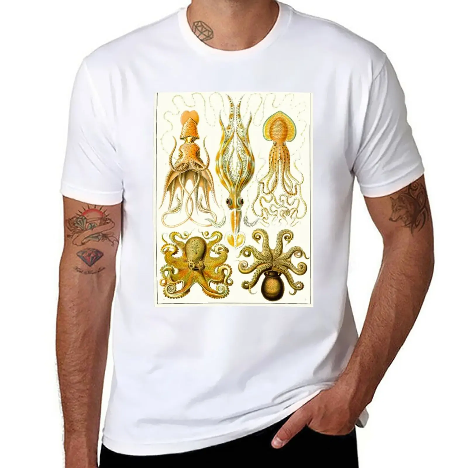 New Plate 54. Gamochonia, an old grouping of squids and octopods. T-Shirt tees graphic t shirt t shirts for men