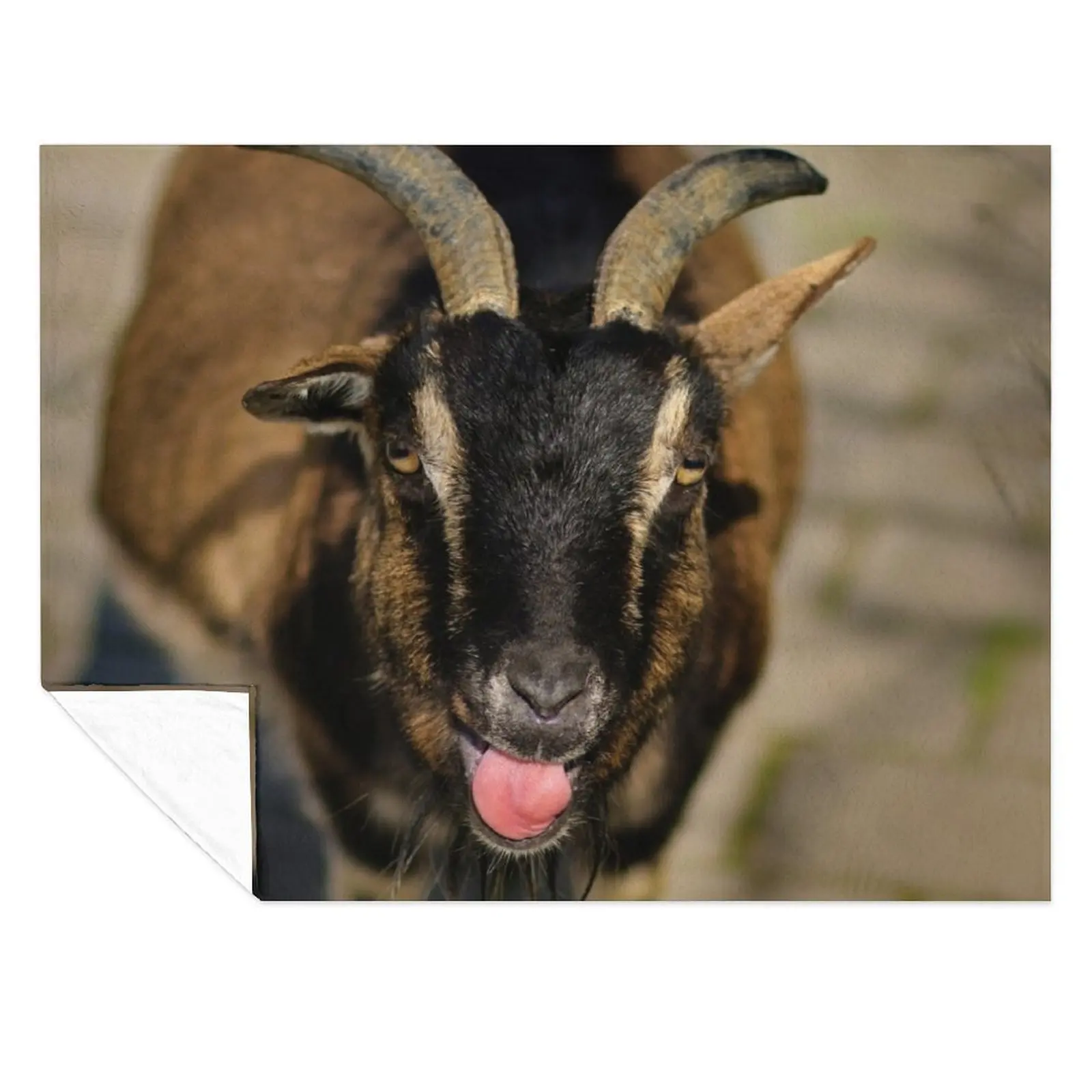

goat Throw Blanket Summer Personalized Gift Giant Sofa Weighted Blankets