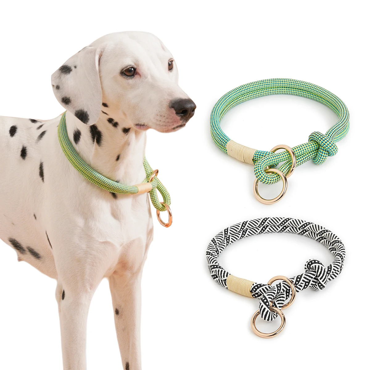 Slip-Nylon-Halsband- und Leinen-Sets, Haustier-Halsring, verstellbares Seil für kleine, mittelgroße und große, einfach zu handhabende Outdoor-Walking-Hunde, 4 Größen – Detail 1