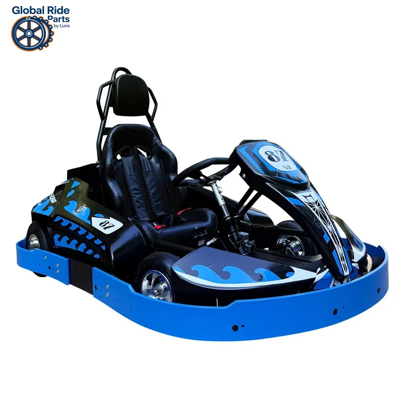 

Dual-Seat Electric Drift Go Kart Adults & Kids, 36V 800W Brushless Motor, for Backyard Track Drifting,CE Certified