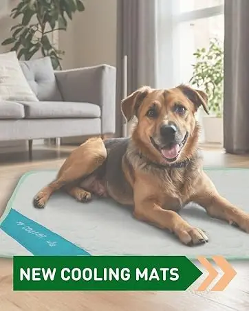 mint pet cooling mat