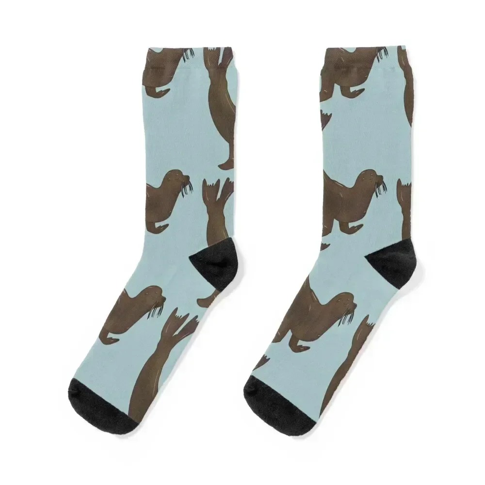 

Sea Lion - Male Socks Stockings funny gifts Boy Socks Women's