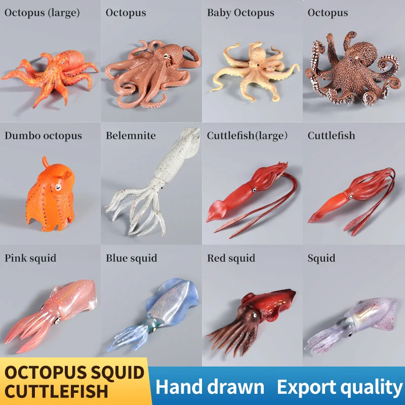Educational Marine Molluscs ModelToys - Simulation Squid Octopus Growth Cycle Action Figure for Kids Sealife Animal Collection