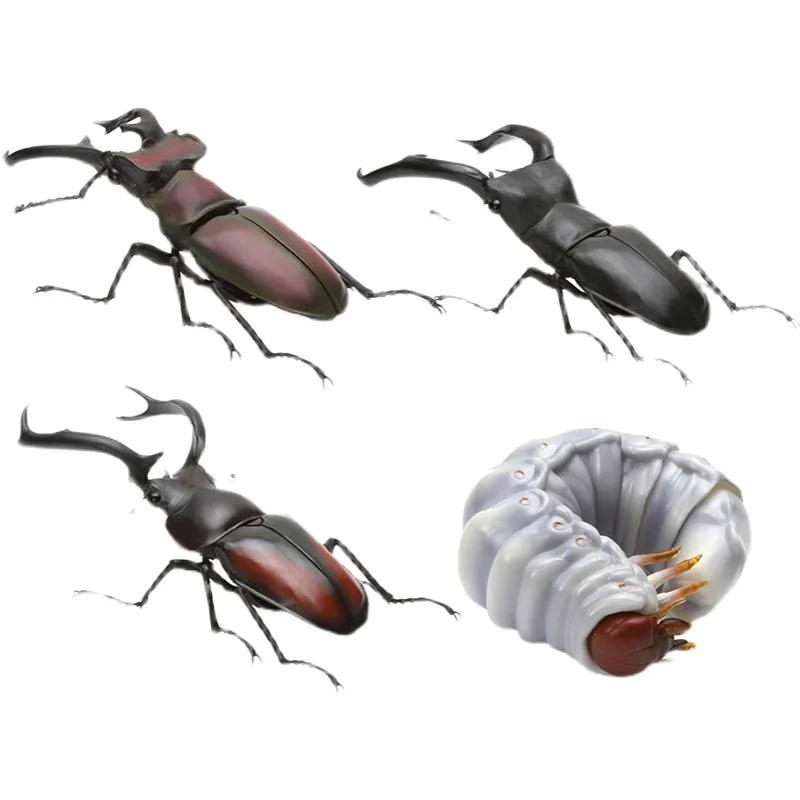 

Bandai Twisted Egg Biology Big Picture Book Simulation Biology Series Stag Beetle Movable Insect Model FIGURE TOYS