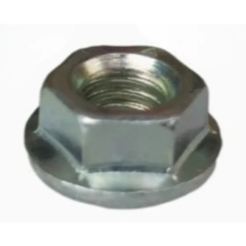 Windshield Glass Wi…