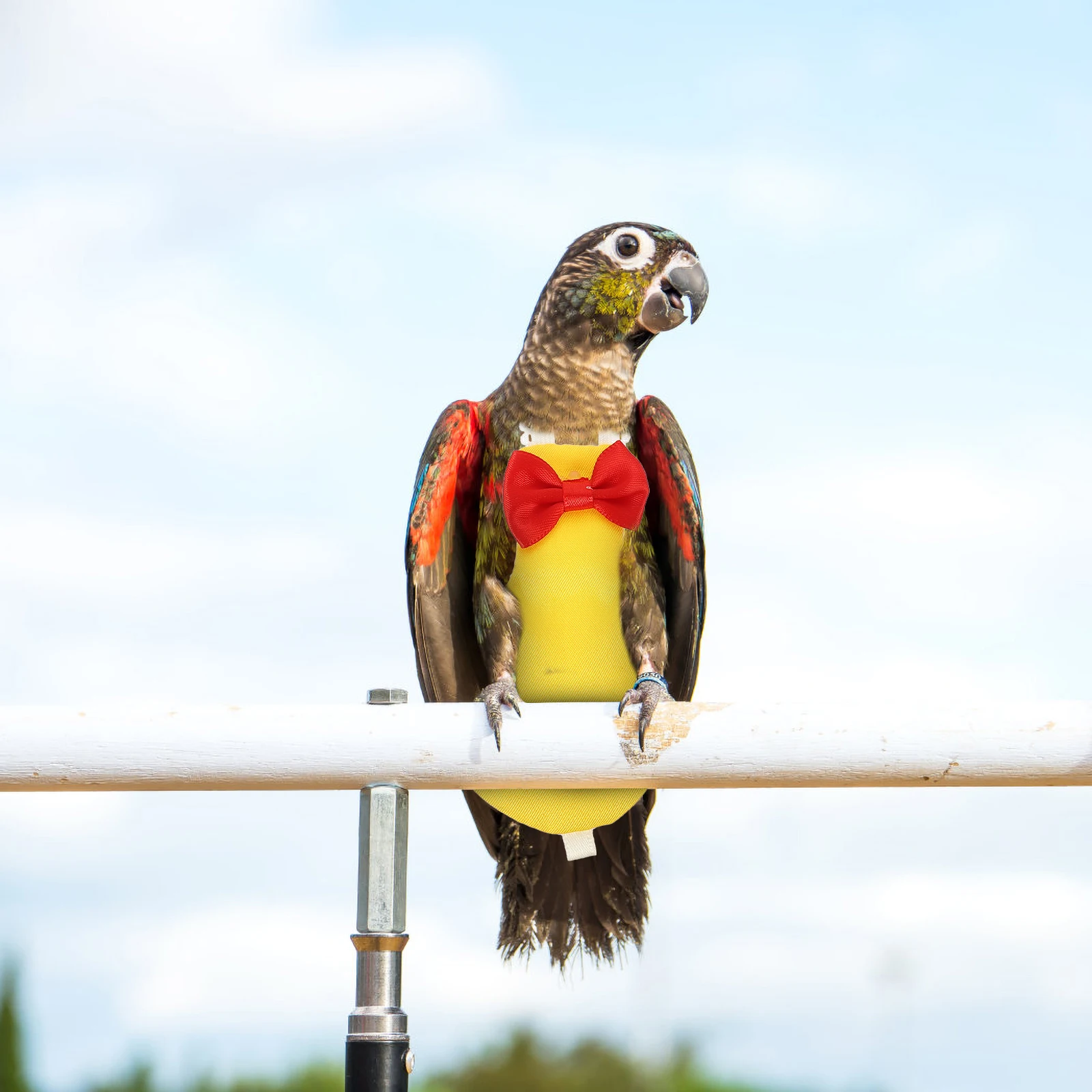 Creative Funny Diaper Pet Rooster Harness Flight Suit Cotton Travel Small Large Birds Conure Cockatiel Pigeon Pants Diapers For