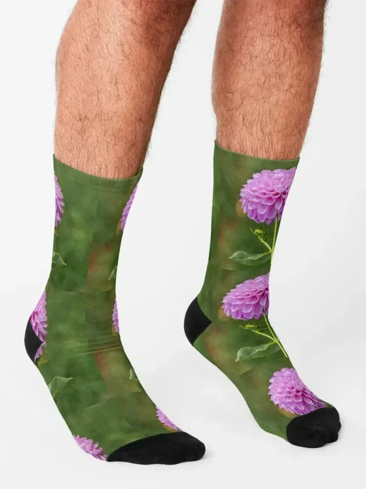 Perfect Purple Dahlia Socks designer christmas gifts tennis colored Ladies Socks Men's