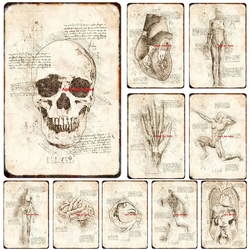 Vintage Metal Sketch Anatomy Physiology Human Structure Poster Skeleton Aesthetics Wall Art Room Decor iron painting tin sign