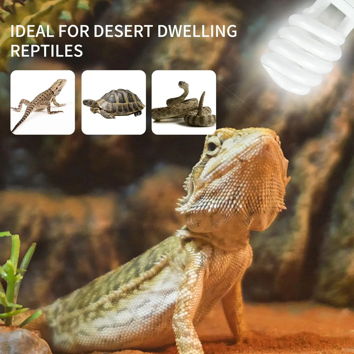 UVB 5.0 10.0 Reptile Heating Lamp 13W /26W UV Energy Saving Bulb Terrarium Basking Reptile Light Turtle Lizard Snake Lamps