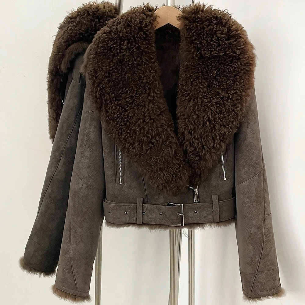Women's Premium Fur Coat Stand Collar Oversized Jacket Relaxed Fit Chic City Fashion Fall Winter Cold Weather Natural Apparel
