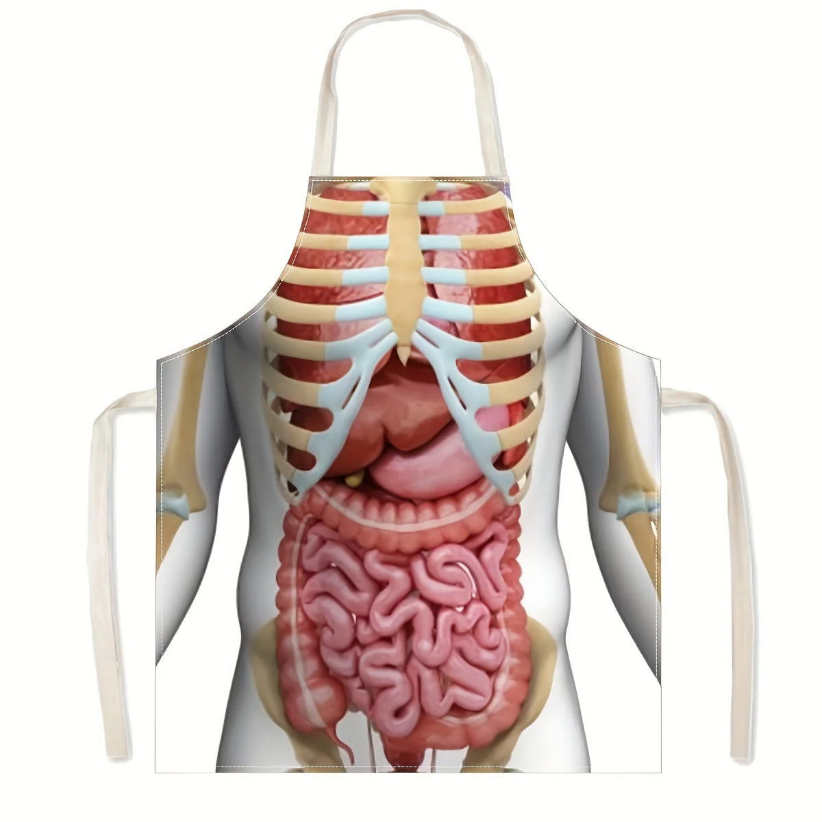 New Fashion Apron with Human Body Organ Design, Home Gift Theme Restaurant High Quality Durable Painting Apron