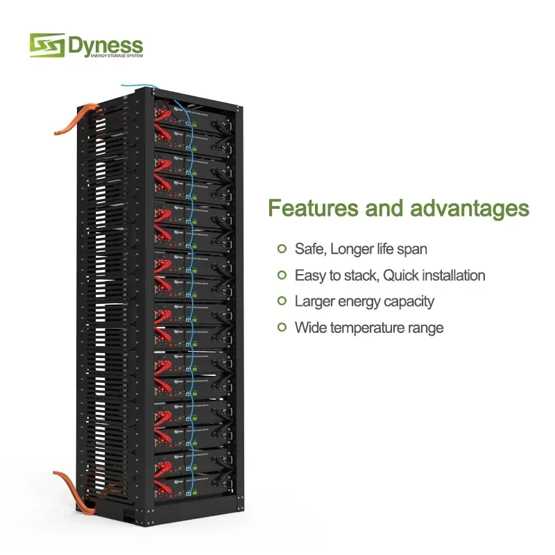 Batteria al litio Dyness 48V 500Ah 24kWh a ciclo profondo Serie rack portatile LiFePO4 per sistemi solari e commerciali