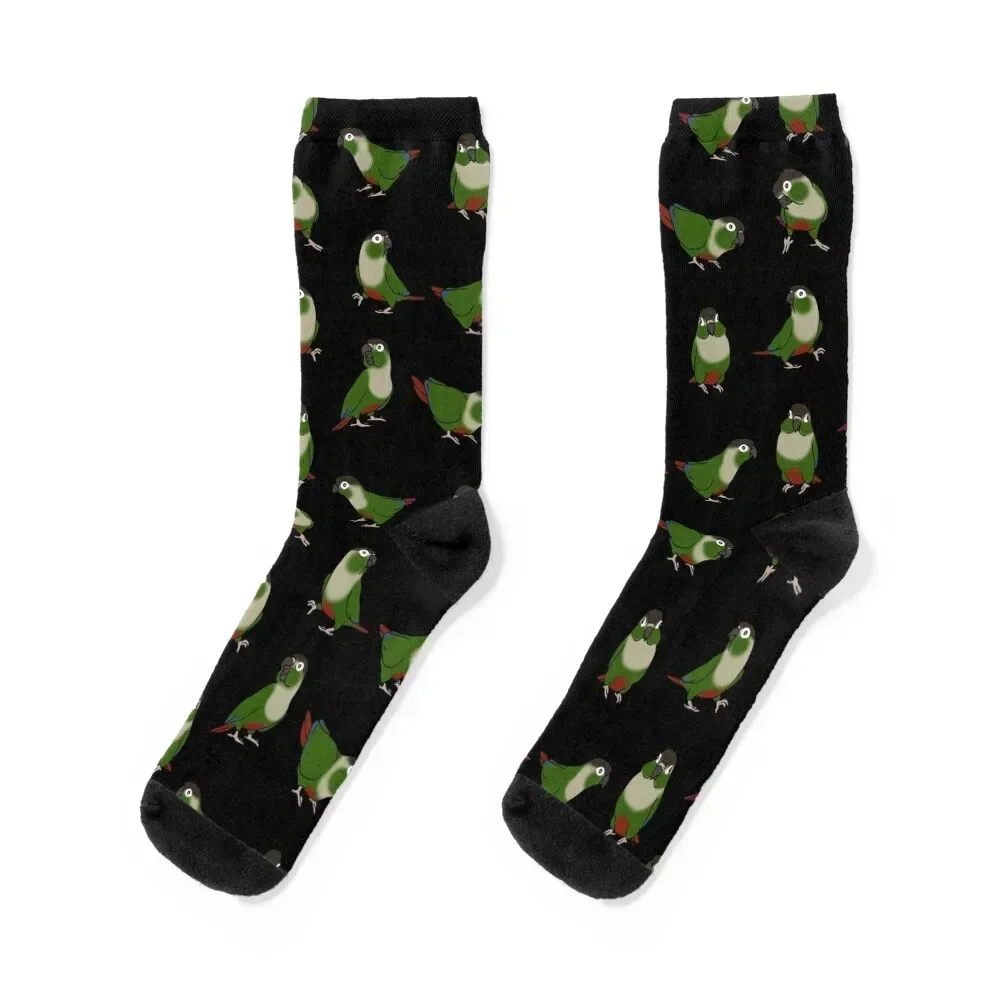 green cheeked conure doodle pattern Socks sheer football Socks Woman Men's