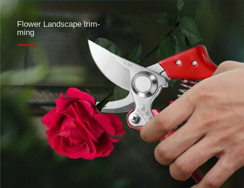 Flower Scissors Sav… - image