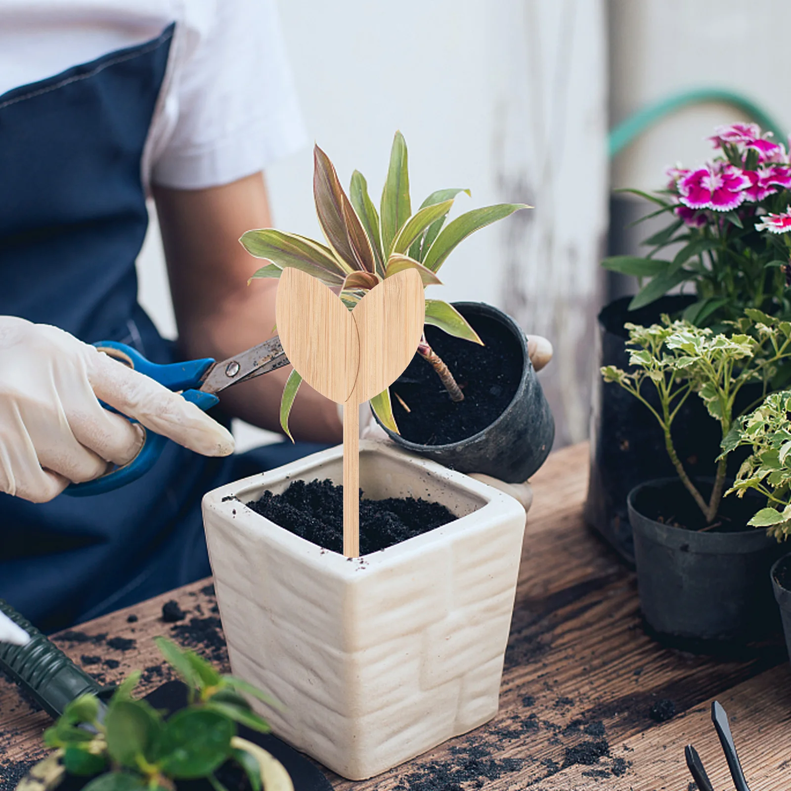 

20Pcs Wooden Leaf Plant Labels Garden Markers Durable Plant Classification Signs for Outdoor Indoor Use Garden Markers