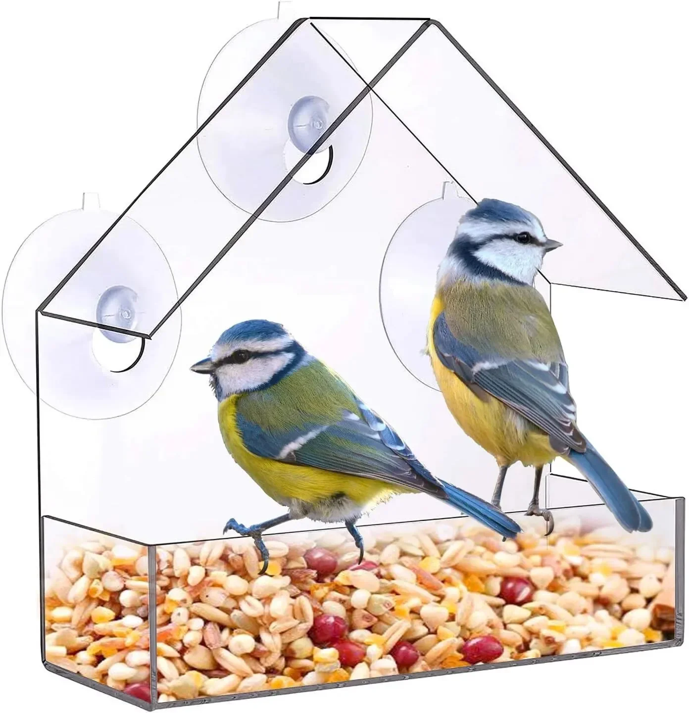 Acrylic Bird Feeder Clear Window Outside Hanging Bird Feeder House with Suction Cup for Garden Outdoor Backyard Wildlife Birding