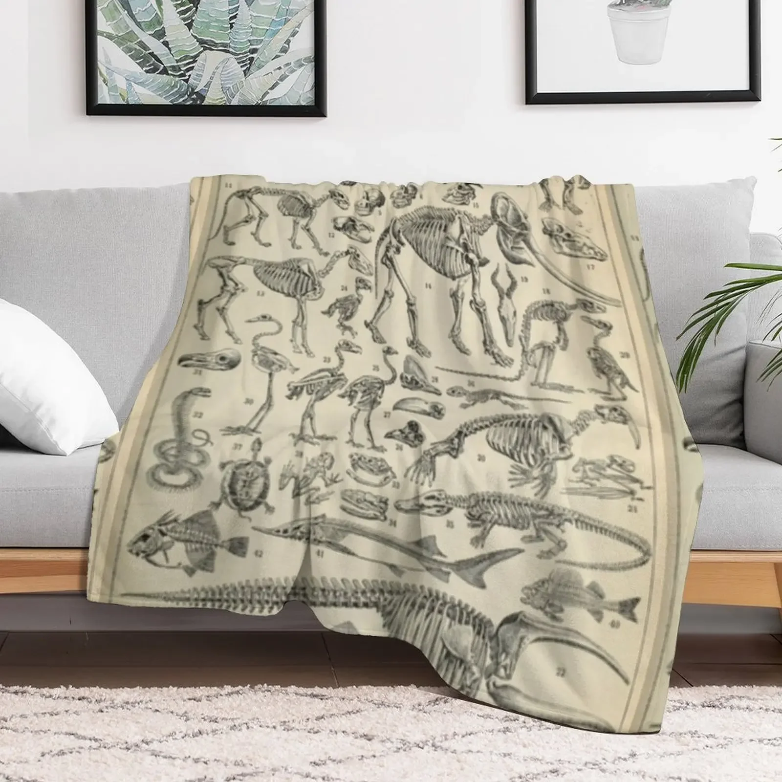 Skeletal Anatomy Throw Blanket Fuzzy Plush Throw Blanket for Sofa Chair