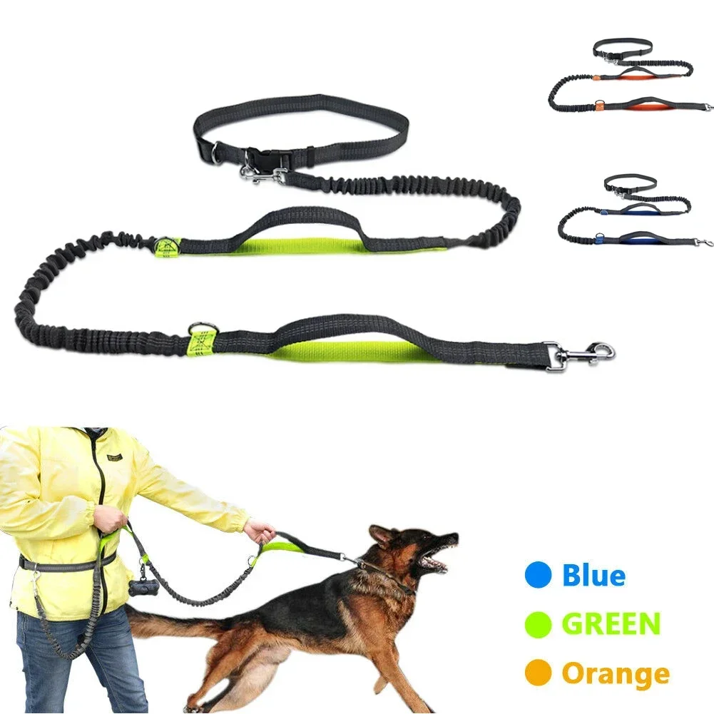 Reflective Leash Traction Rope Pet Dog Running Belt Elastic Hands Freely Jogging Pull Dog Leash Metal D-ring Leashes Harness