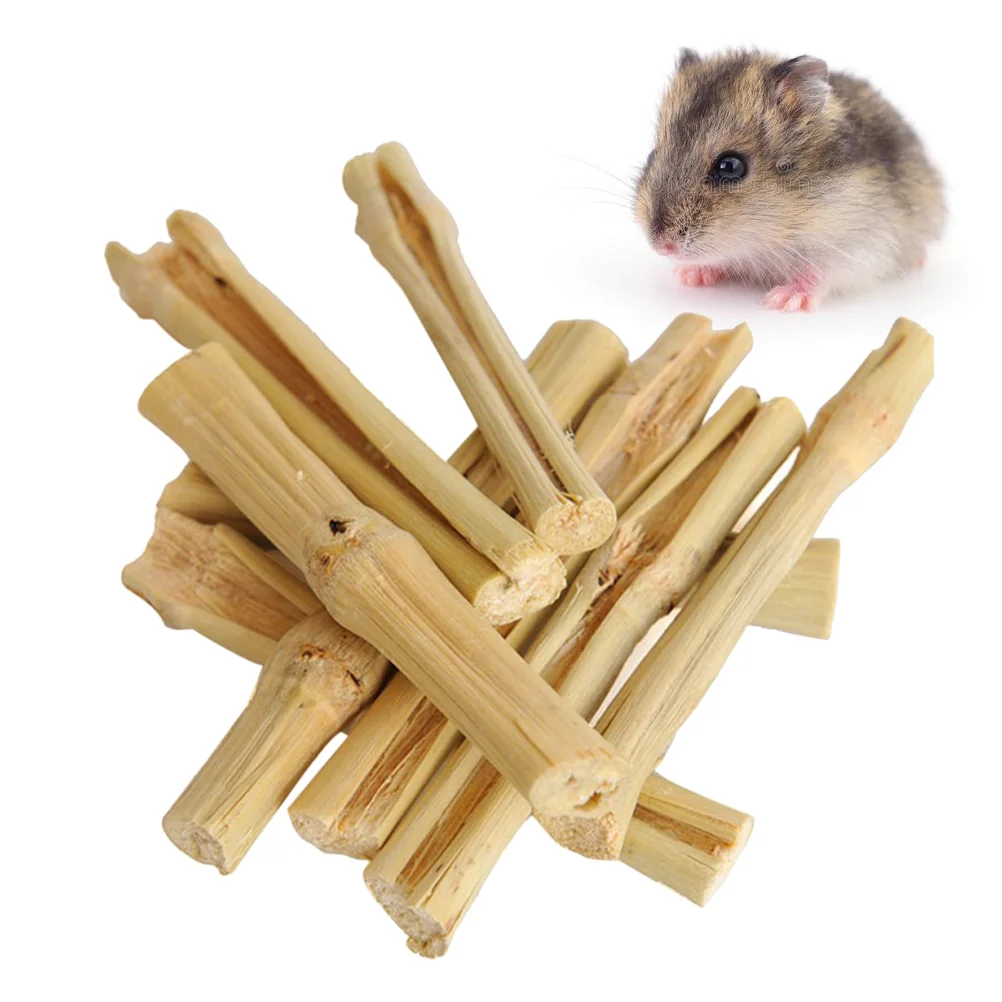 Bunny Treats Hamster Molar Rod for Rabbit Chew Toys Teething Stick Pet Snacks Wooden Travel