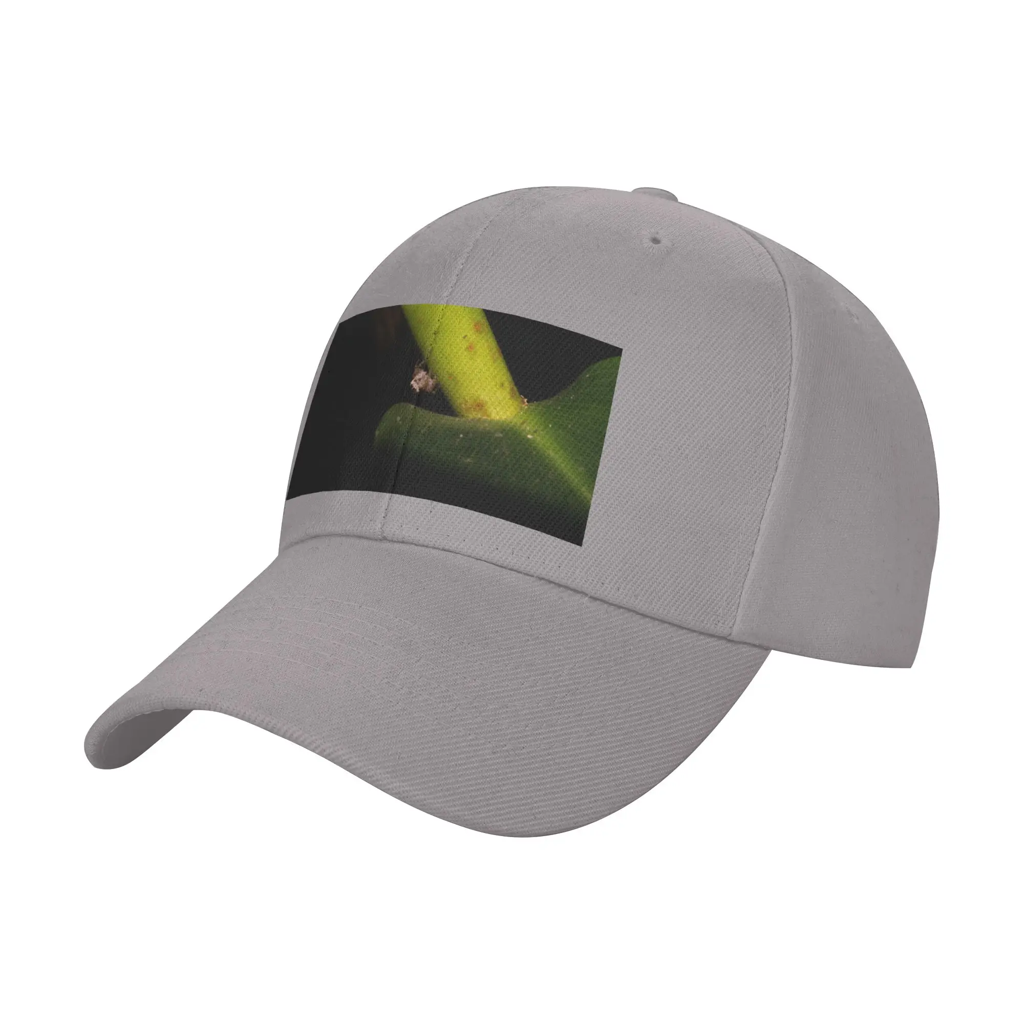 Jumping Spider 04 Trendy Baseball Cap Jogging Moisture Wicking Trucker Cap