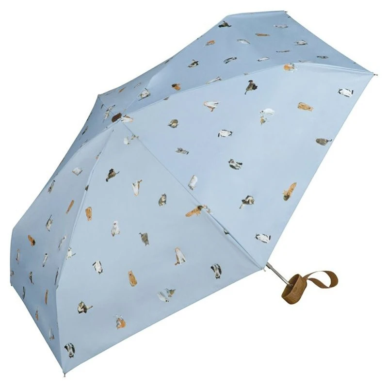 

Cute cute pet cat, parasol, sun protection mini, weather and rain