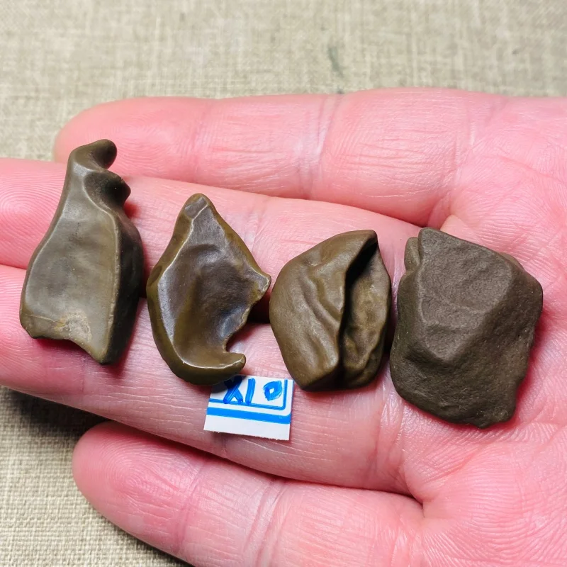 Natural Gobi Desert Mudstone Mineral Specimen with Unusual Texture Energy Chakra Stone