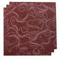Topographic 1