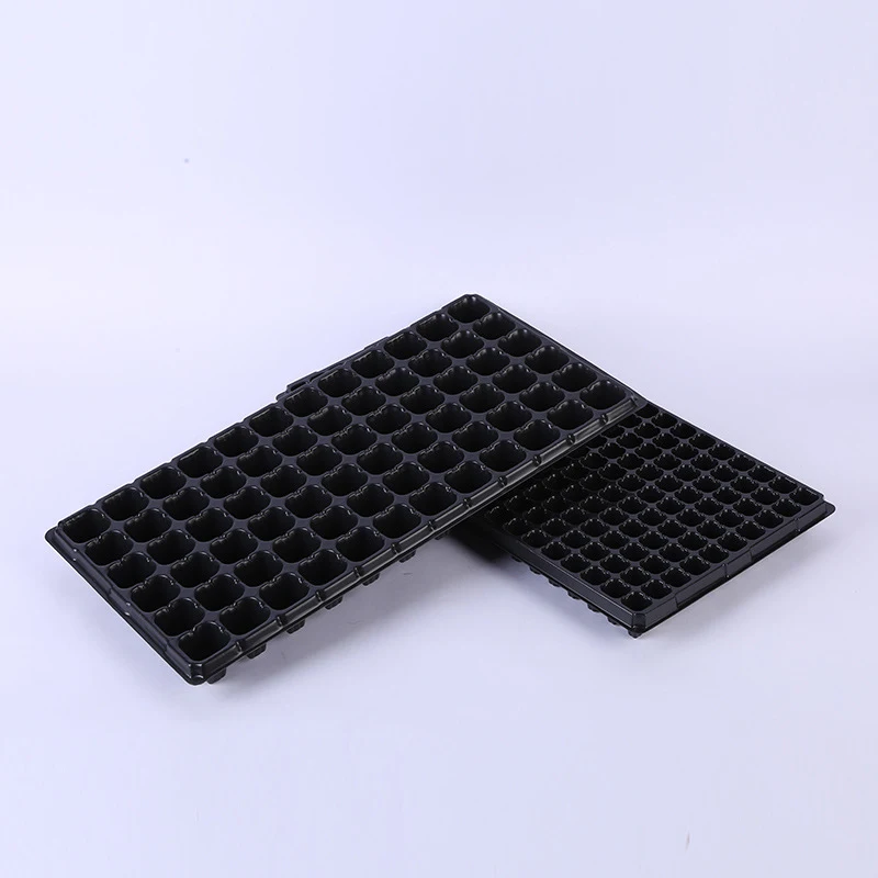 5PC Seedling Plate Flat Plate Plastic Seedling Box Thickened Transparent Simple Seedling Plug