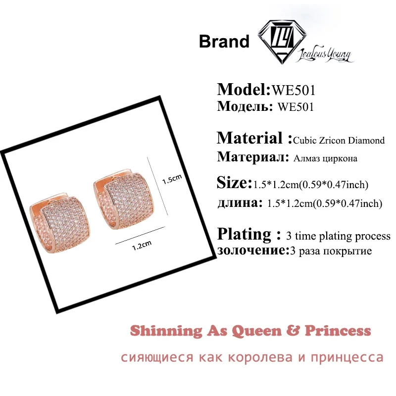 Double Rose Gold Color Hoop Earrings Sided Cubic Zirconia Set with Zircon Design Dimension Earings for Ladies Jewelry Gift עגיל