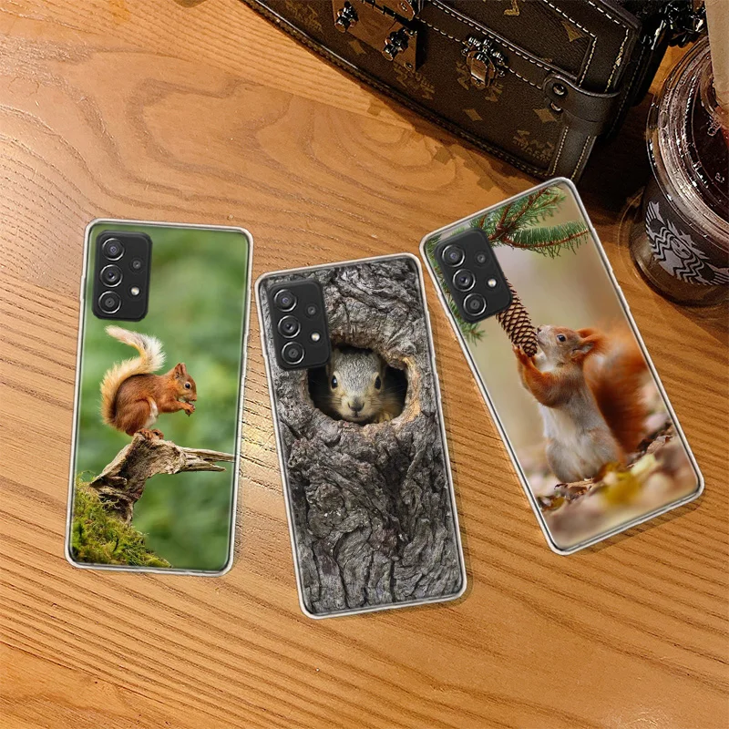 Bosque ardilla forrajeo para comida funda de teléfono para Samsung S25 Ultra S8 S10 A01 A02S A03S A04S A05S A55 A35 A25 A15 Galaxy J8 J6