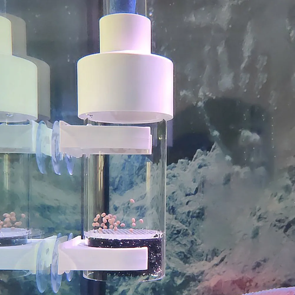 40 مللي متر بهلوان حاضنة الأسماك التفريخ الفم بروودينغ حوض السمك Cichlid بهلوان الأسماك البيض حاضنة بدلا من الفم تجنب الملحقات