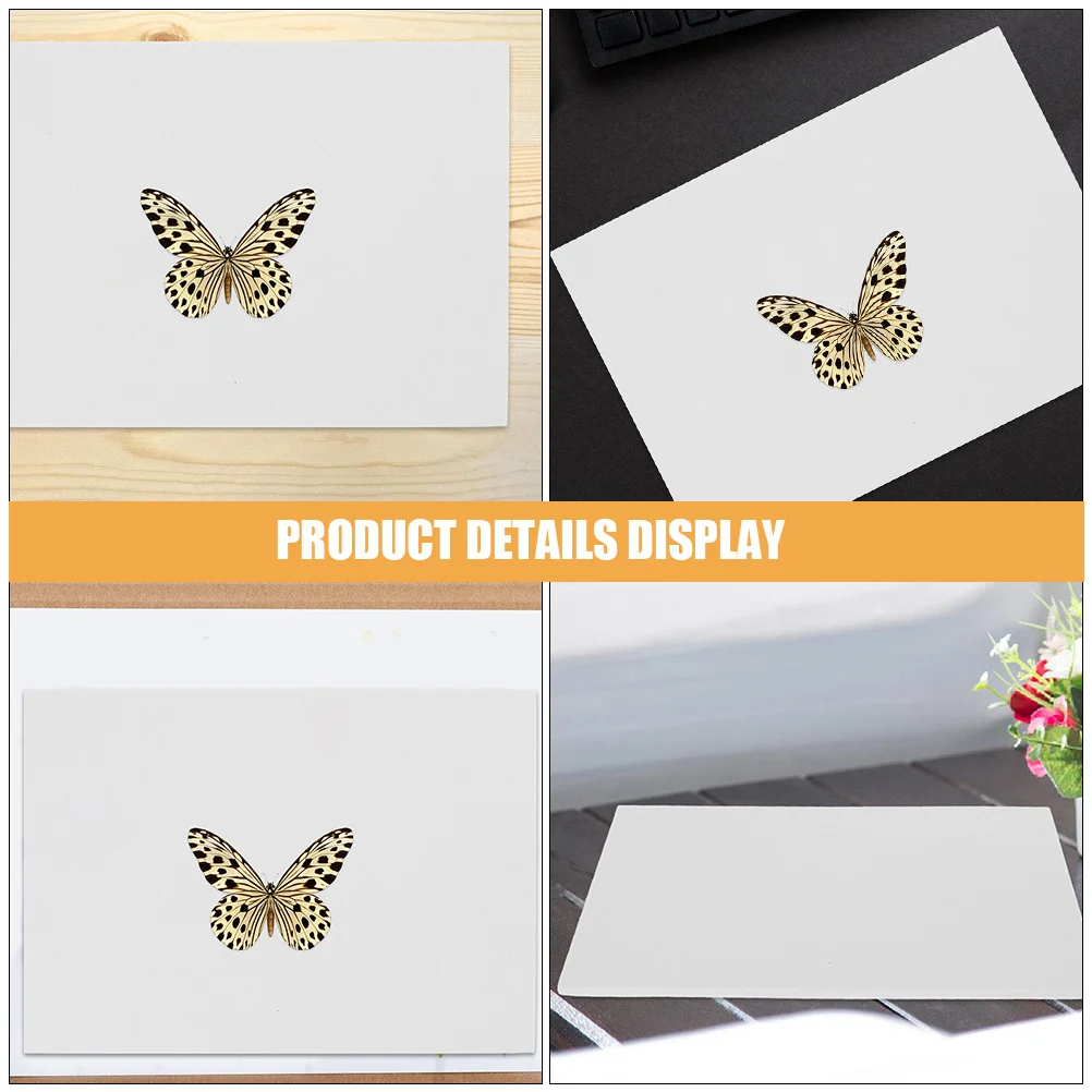 

Pinning Plate for Butterfly Secure Positioning Attractive Presentation Entomology Supplies Specimen Display Panel