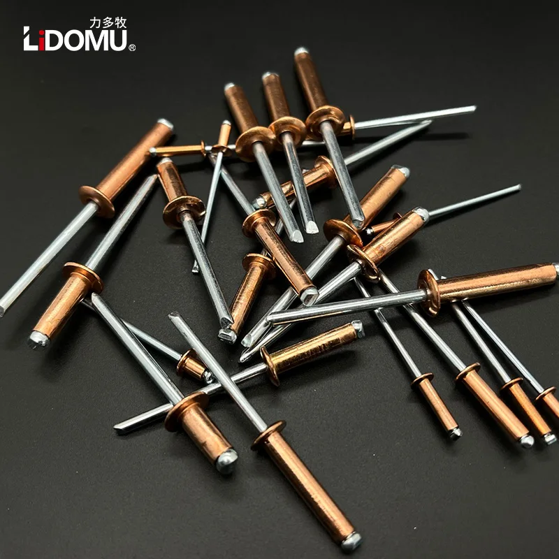 Open Type Copper Blind Rivet, Dome Head, Antiestático Bronze Latão Rebites, 30 Pcs, 50Pcs