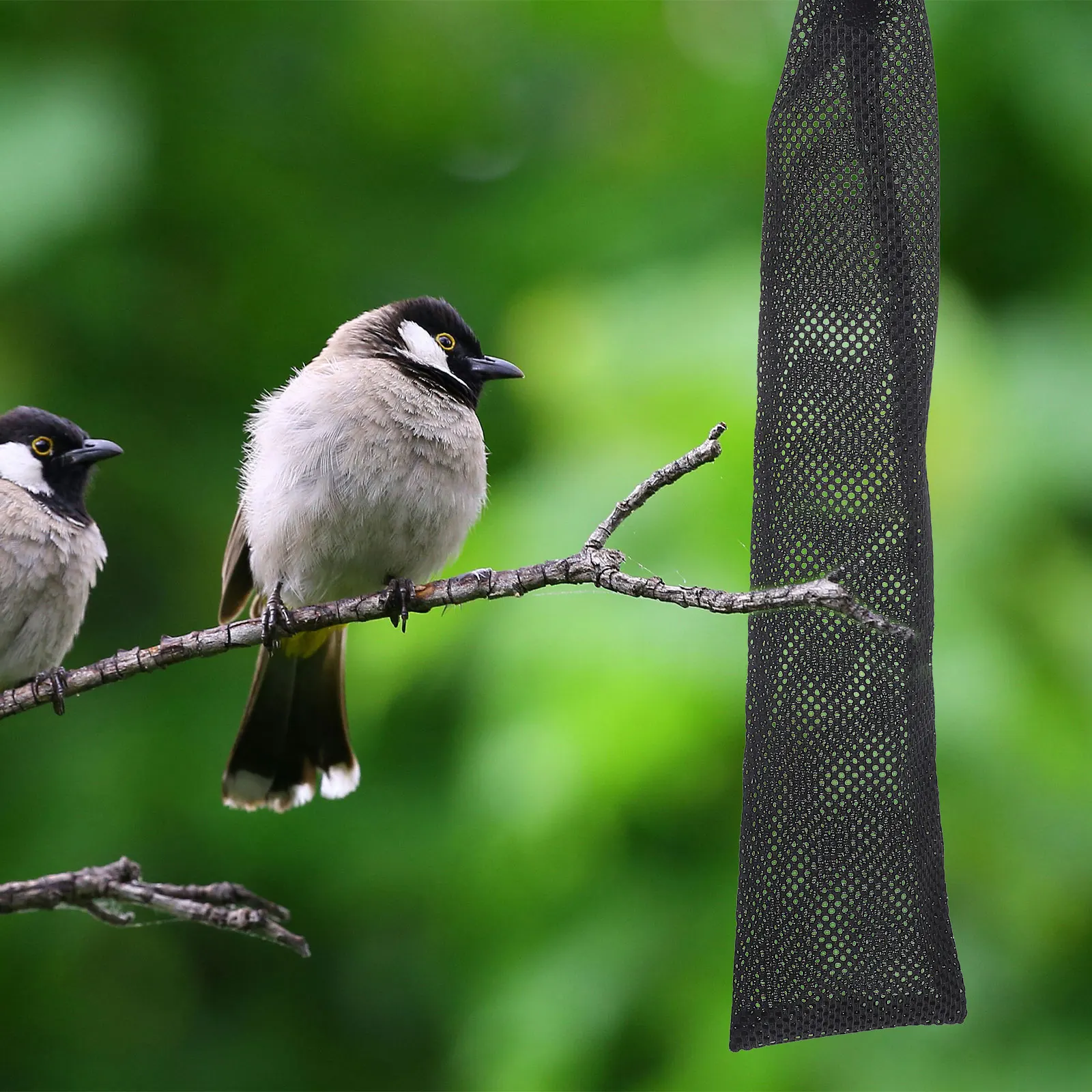 

3 Pcs Hanging Mesh Bag Bird Feeder Wild Feeders for Outdoors Missing Food Drawstring Birds Nylon