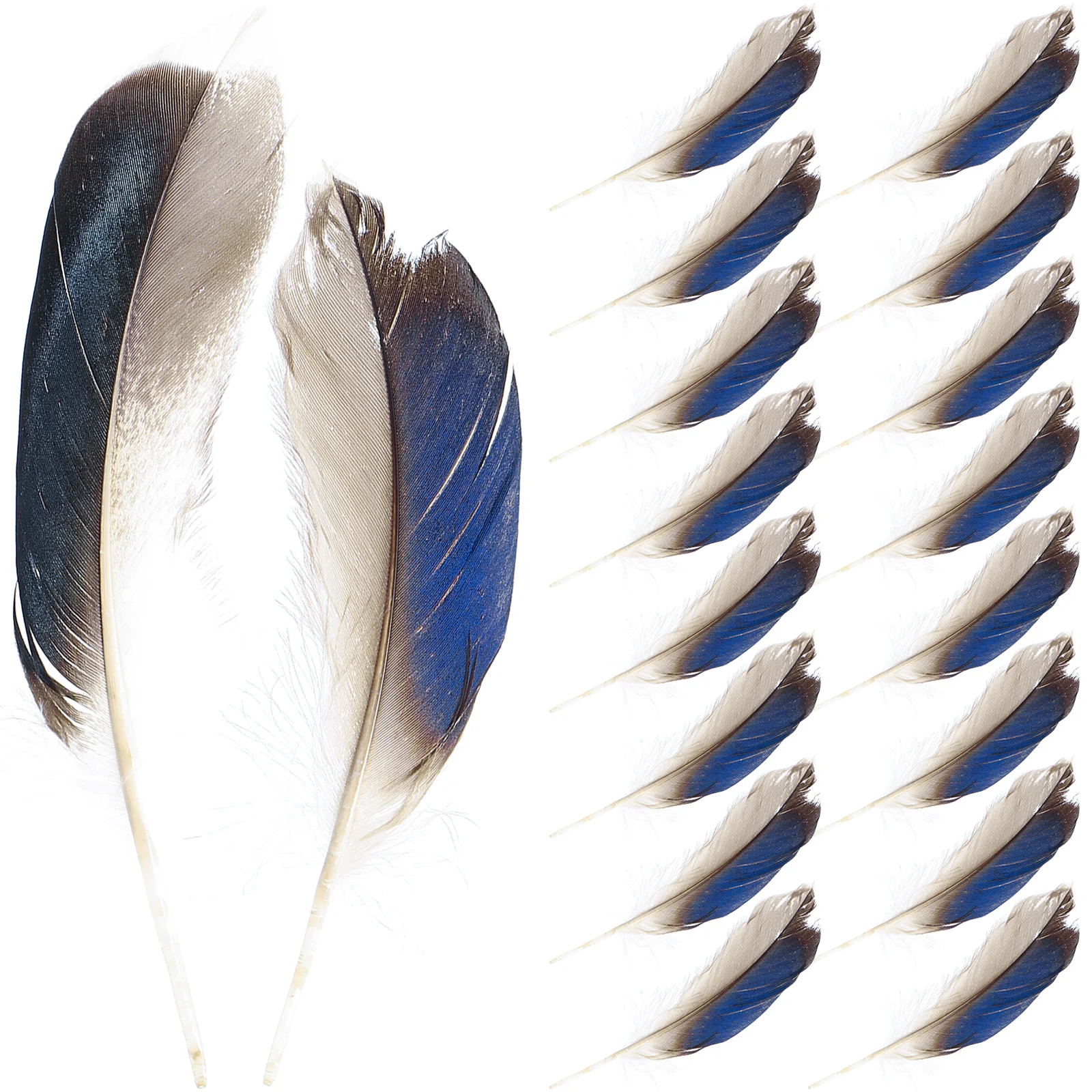 

100Pcs Bright Color Duck Plumes Craft Supplies For Dream Catcher Making Party Decoration