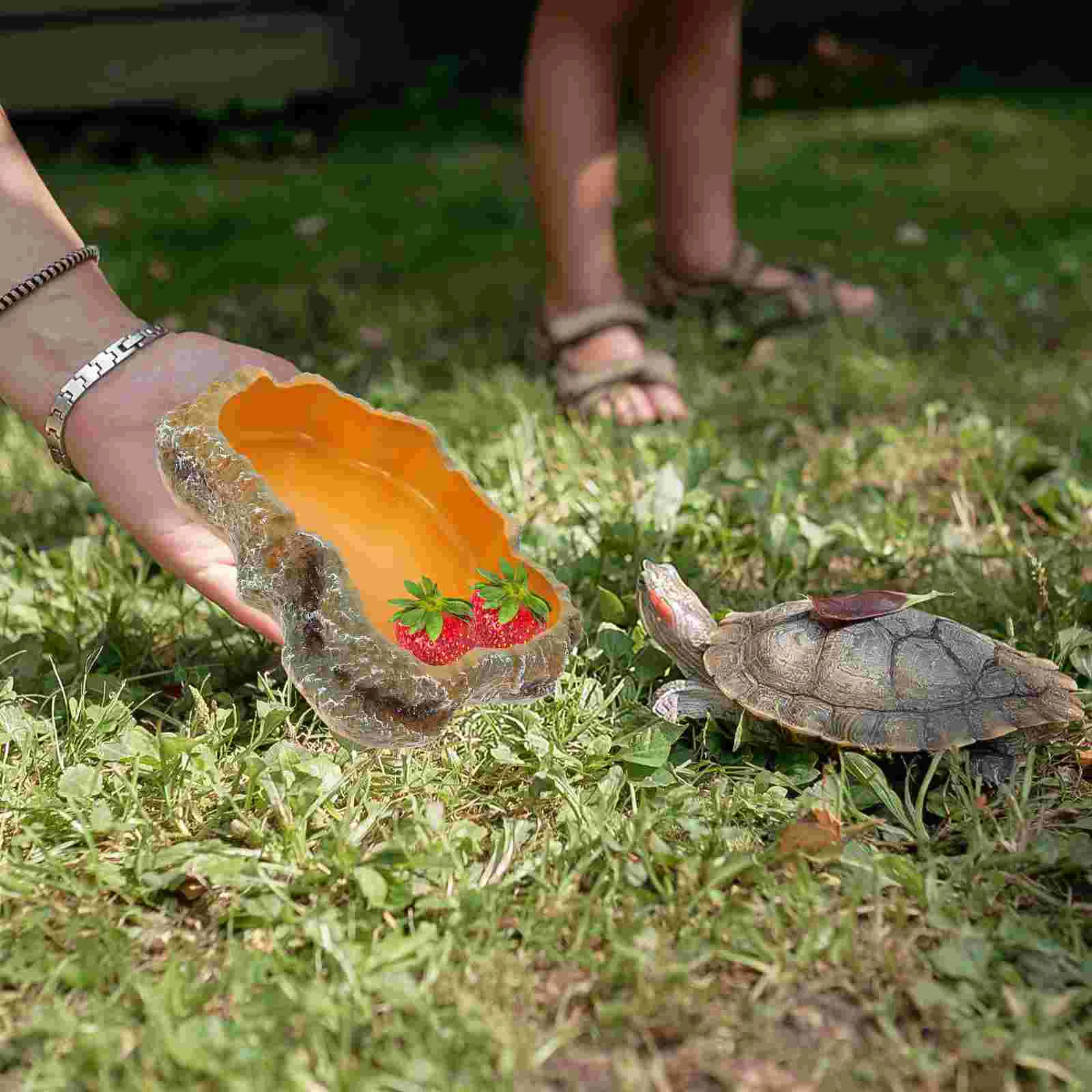 Tortoise Food Reptile Heat Lamp Climbing Pet Bowl Snake Tank Accessories Terrarium Basin