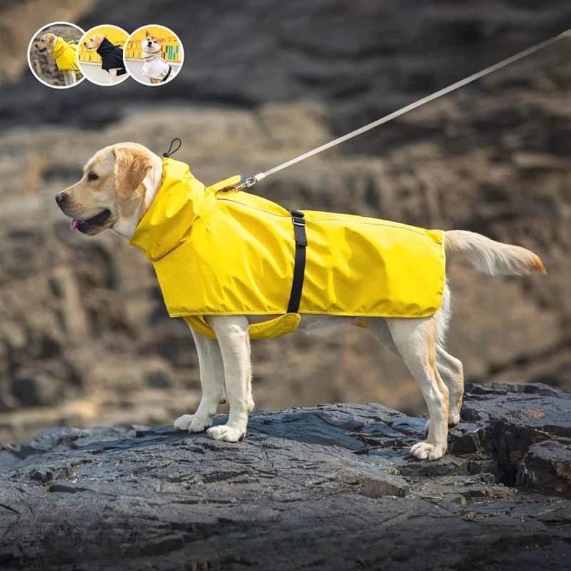 

Medium And Large Dog Raincoat Poncho Labrador Golden Retriever Corgi Pet Clothes Outdoor Waterproof Pet Raincoat Dog Accessories