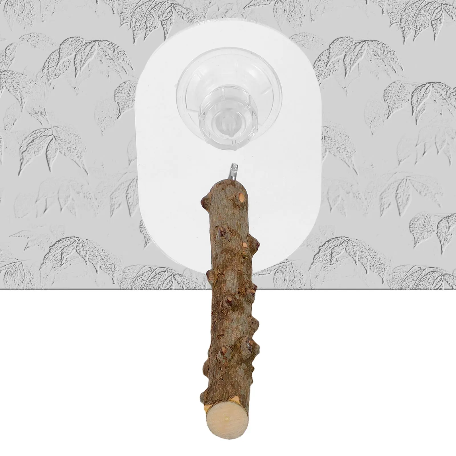 

Parrot Platform Stand Rest Perch Bird Standing Sucker Natural Wood Acrylic Holder Birds