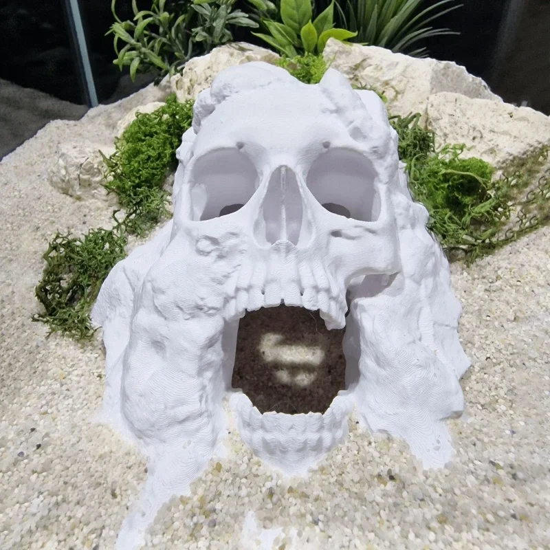 3D Printed Skull Ca…