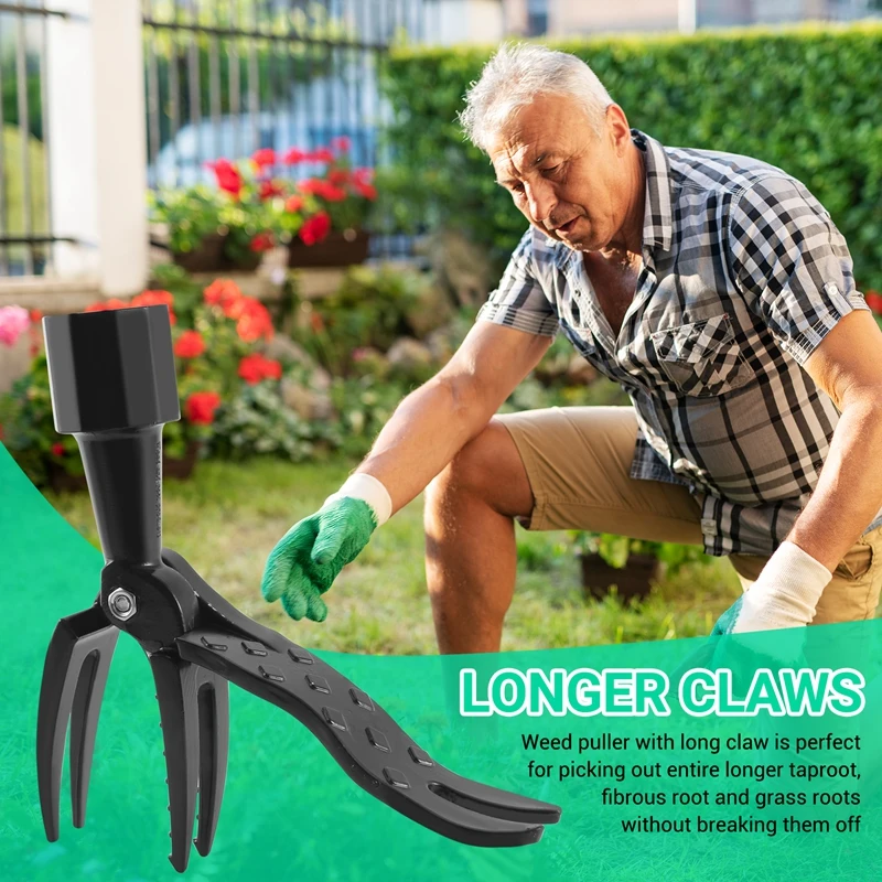 أداة سحب الأعشاب بمقبض طويل - أداة سحب الأعشاب القابلة للتعديل، أداة حفار الهندباء شديدة التحمل
