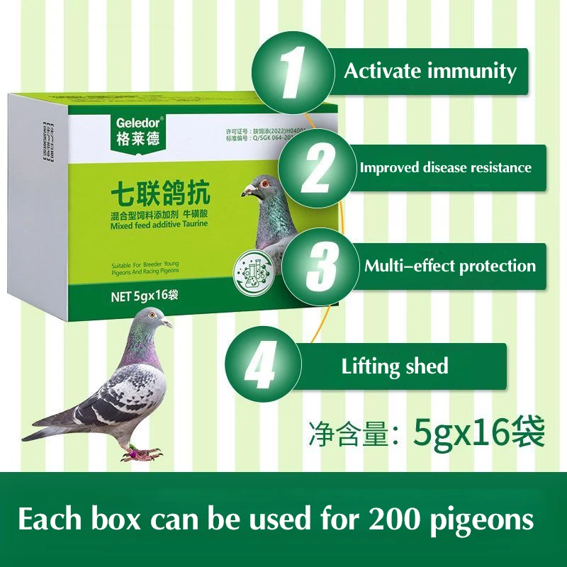 حمامة ضد مرض السلمونيلا نيوكاسل مائي عنيد أخضر ثم رمي الطعام القيء سباق الحمام