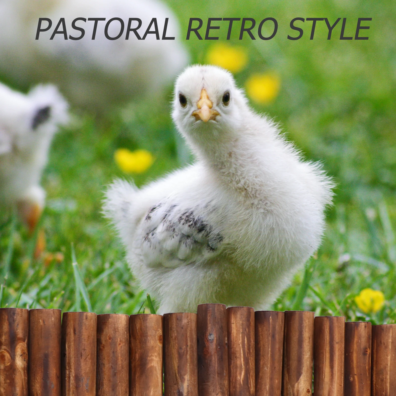 

Wooden Fence Durable Outdoor Decorative Garden Supply Natural Atmosphere Grass Protection Long Service Life Waterproof Flexible