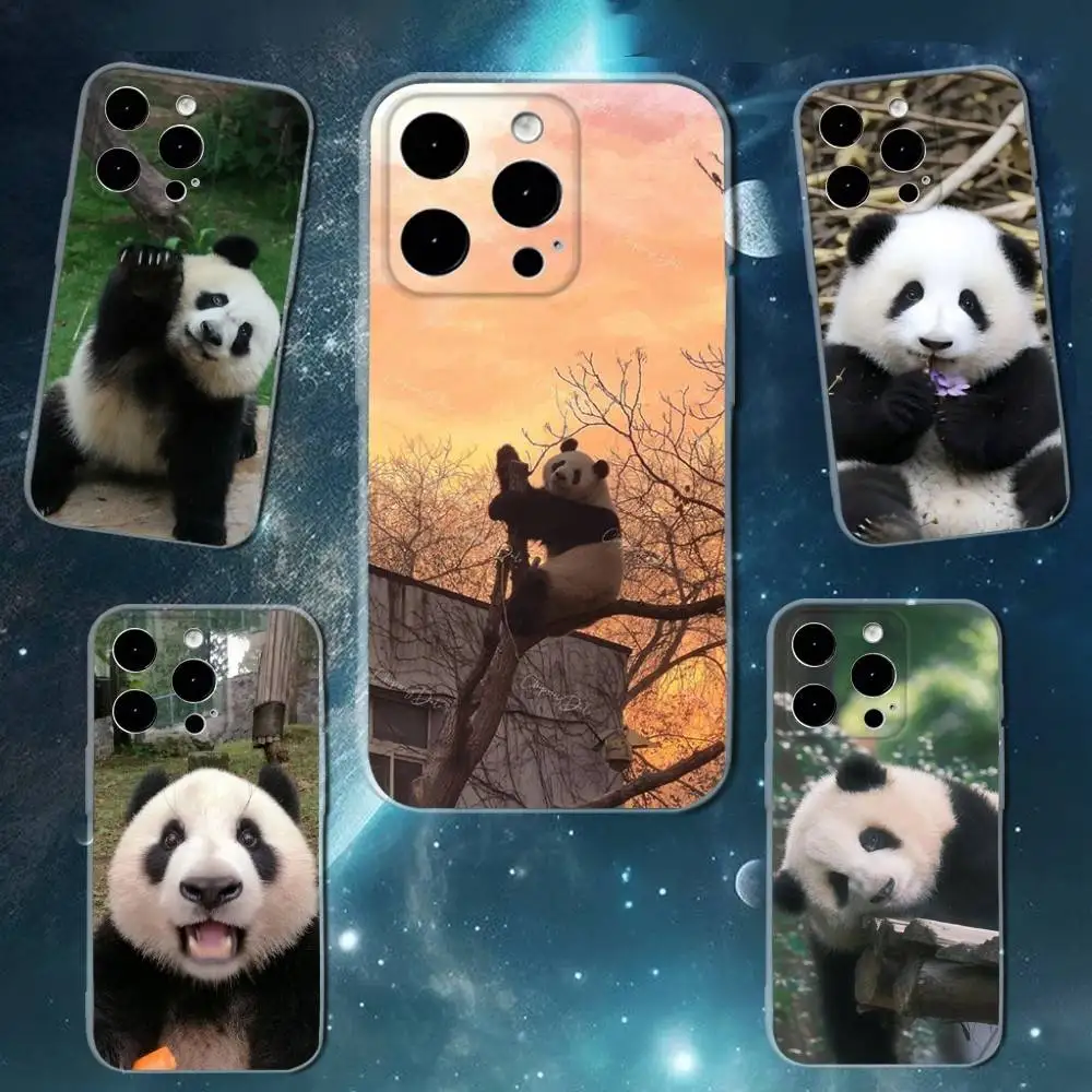 

Cute F-Fubao Animal Panda Phone Case For iPhone 16,15,14,13,12,11 Plus,Pro,Max,XR,XS,X,7,8 SE,Mini Transparent Silicone Soft