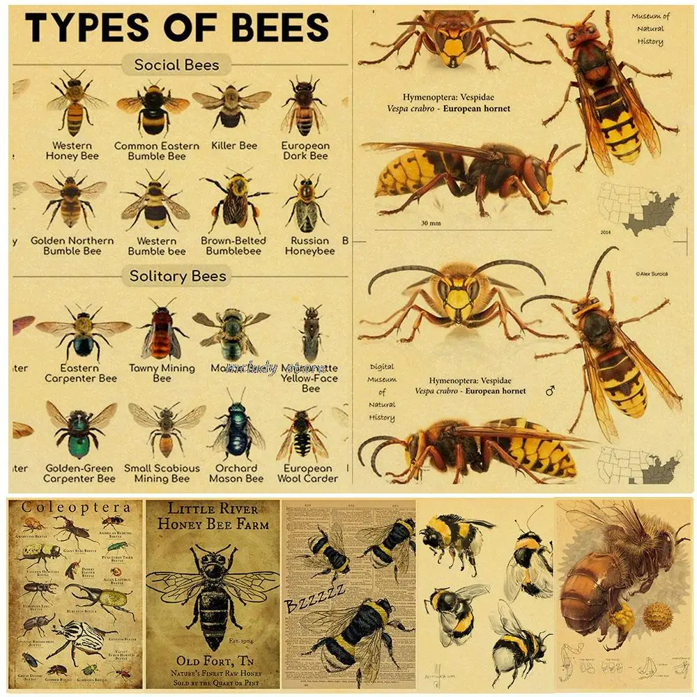 Antique Bees Posters Natural Insects Vintage Honey Bee Canvas Painting Wall Art Pictures Sepia Toned Bee Diagram Home Decor