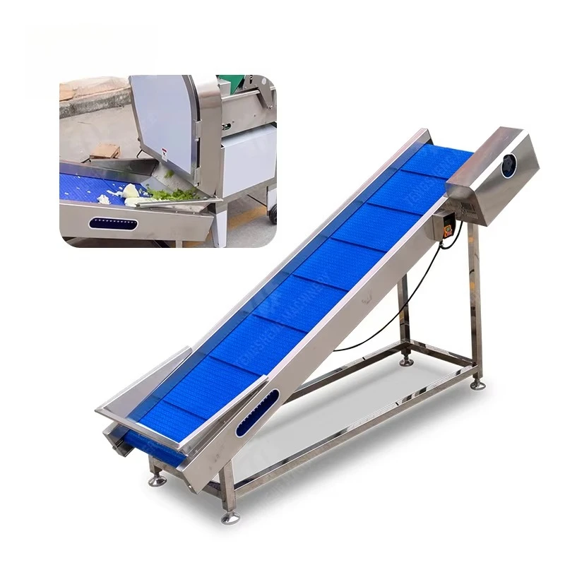 Fruit Elevator Machine for Wholesale Fresh Apple Banana Orange Grape Handling Durable Stainless Steel Construction