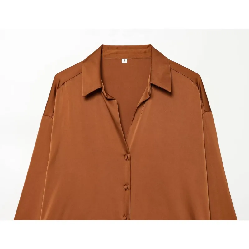 Femmes plume Satin Blouse décontracté printemps été col rabattu à manches longues bouton chemise femmes hauts femme chemise et chemisiers