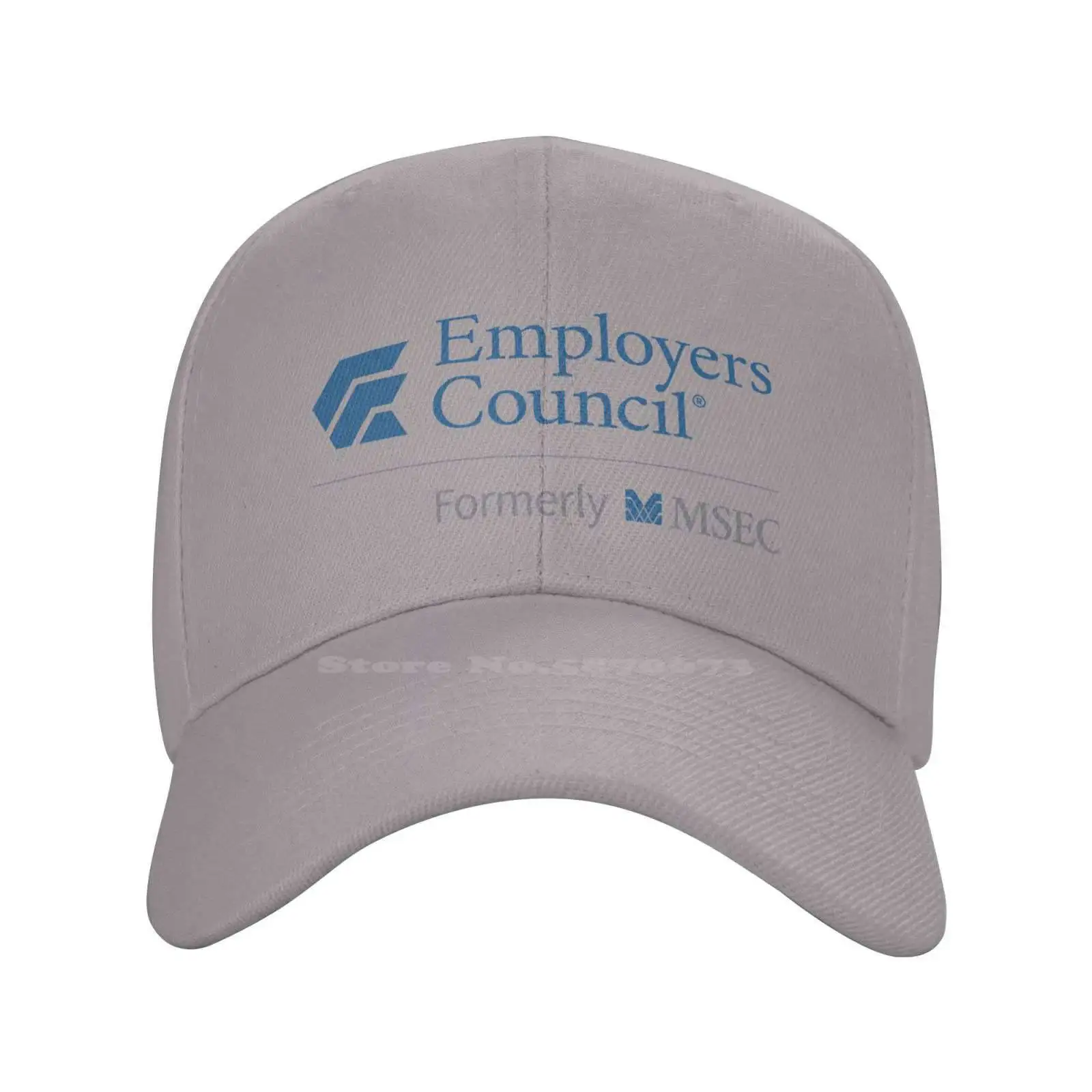 Employers Council Logo Fashion quality Denim cap Knitted hat Baseball cap